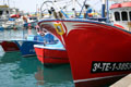 Fishing fleet