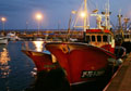 The fishing fleet prepares for the night's work
